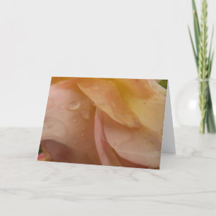 Tarjeta Gotitas de lluvia en pétalos de rosa flor de meloc