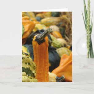 Tarjeta Gourds