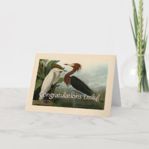 Tarjeta Grabado de Garza Morada de Audubon: Arte de Aves