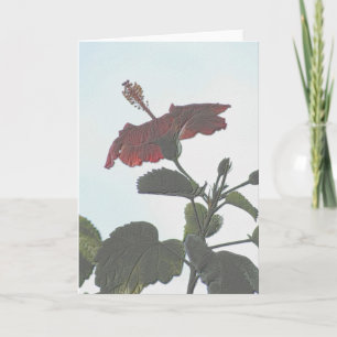Tarjeta Grabado en relieve Oscuro Hibiscus