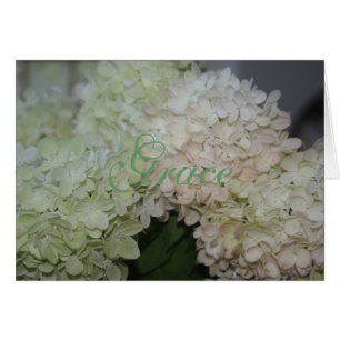 Tarjeta Grace Hydrangea