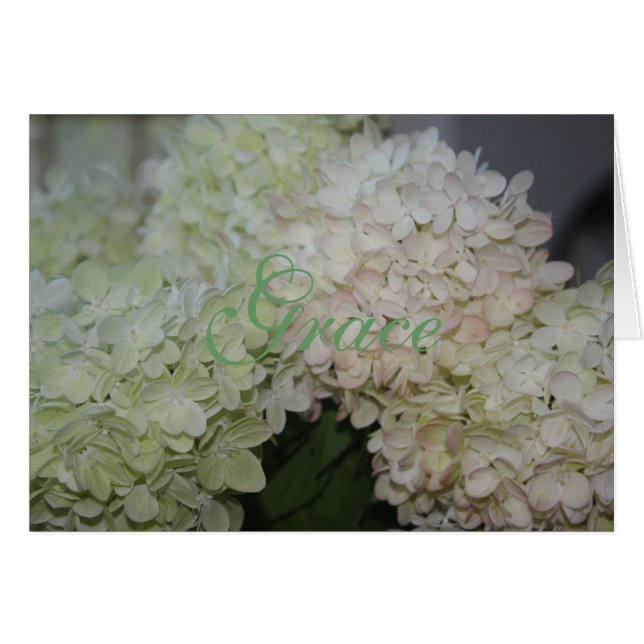 Tarjeta Grace Hydrangea (Anverso (Horizontal))