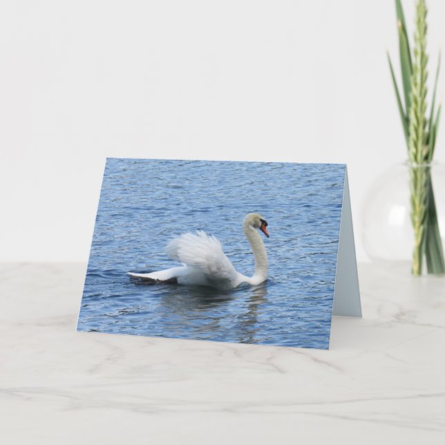 Tarjeta Graceful Swan Photo Greaming Card (Anverso)