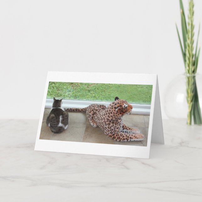 Tarjeta Gracey y leopardo perezoso (Anverso)