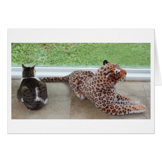 Tarjeta Gracey y leopardo perezoso
