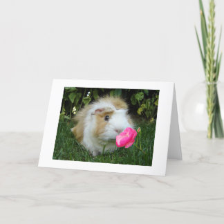 TARJETA GRACIAS A GERBIL FELIZ ES "TU" CUMPLEAÑOS NO EL SU