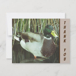 Tarjeta Gracias Apreciación De Pájaro Salvaje De Pato Mall