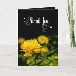 Tarjeta Gracias, Blanco, Rosa Amarilla en Jardín