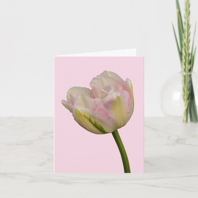 Tarjeta Gracias por el tulipán rosado en blanco o el Perso (Anverso)