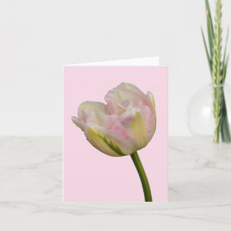 Tarjeta Gracias por el tulipán rosado en blanco o el Perso