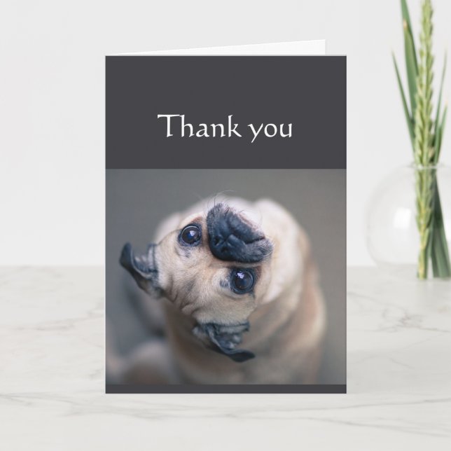Tarjeta Gracias por ser tan asombroso animal de perro pica (Anverso)