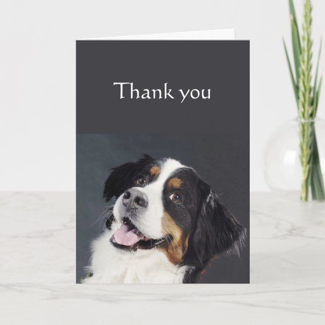 Tarjeta Gracias por ser tan asombroso perro collie en la f (Anverso)