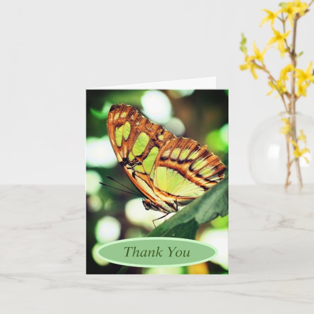 Tarjeta Gracias por ver la naturaleza de la mariposa (flor amarilla)