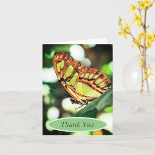 Tarjeta Gracias por ver la naturaleza de la mariposa