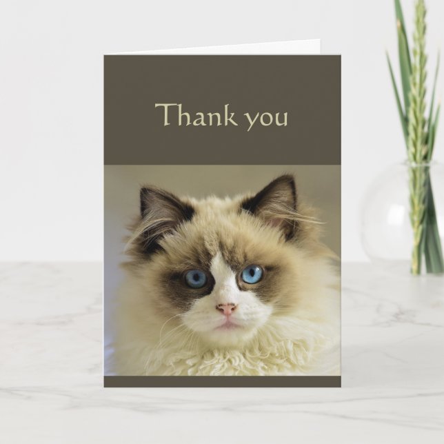 Tarjeta Gracias Sinceras Y Hermosas Escrituras De Animales (Anverso)