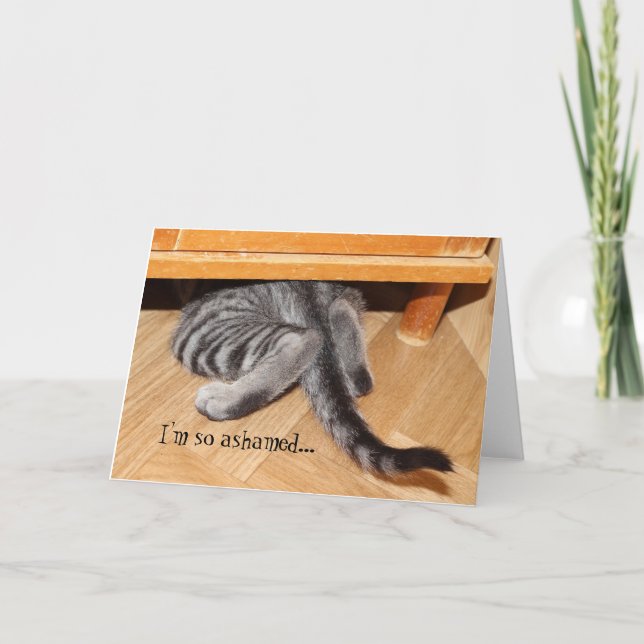 Tarjeta Graciosa disculpa de gato por vergüenza (Anverso)