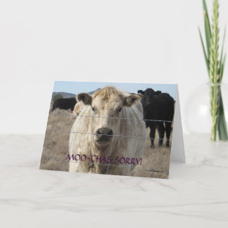 Tarjeta Graciosa disculpa de vaca blanca moo negra - Ranch