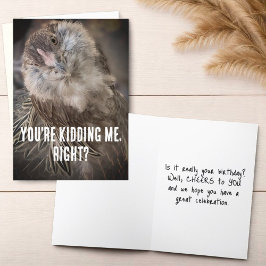 Tarjeta Graciosa foto de cierre de pollo con cabeza inclin