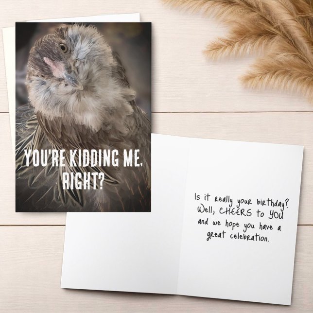 Tarjeta Graciosa foto de cierre de pollo con cabeza inclin (Cover and inside greeting template text greeting card)