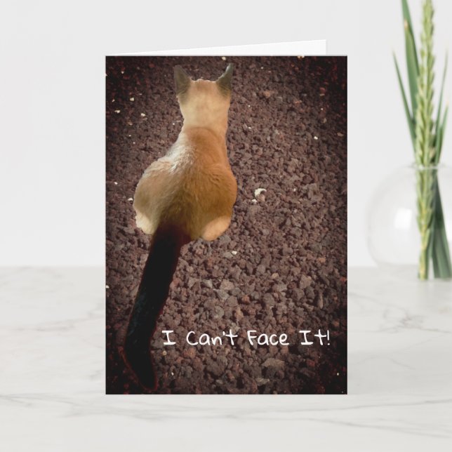 Tarjeta Graciosa foto de gatito siamés pero retrasada cump (Anverso)