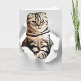 Tarjeta Graciosa ilusión de papel roto de gatos gráficos 3