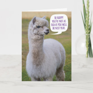 Tarjeta Graciosa sabiduría de cumpleaños Dolly Llama