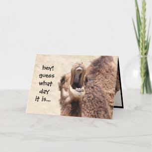 Tarjeta Gracioso Camel Hump Day Card 2