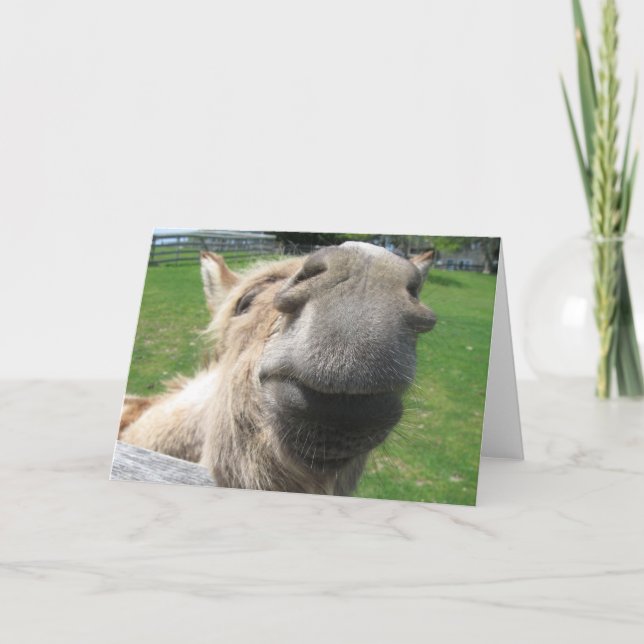 Tarjeta Gracioso cierre de burro (Anverso)