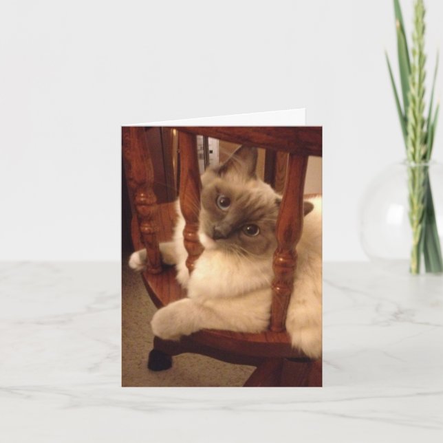 Tarjeta Gracioso con la actitud de un gato de muñeca trapo (Anverso)
