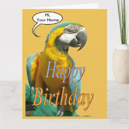 Tarjeta Gracioso Conversando El Loro El Aniversario Del Po