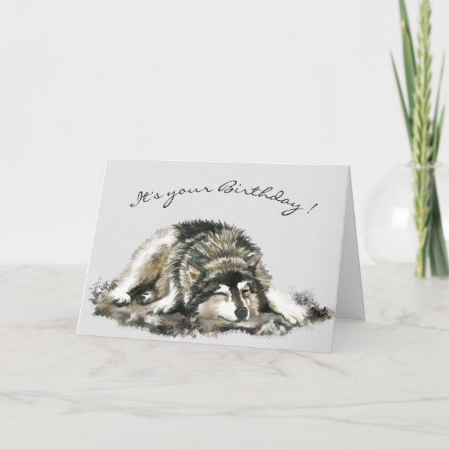 Tarjeta Gracioso cumpleaños Cansado Napping Husky Dog Card (Anverso)