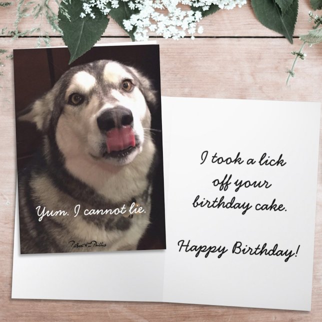 Tarjeta Gracioso cumpleaños feliz Alaskan Malamute Dog (Subido por el creador)
