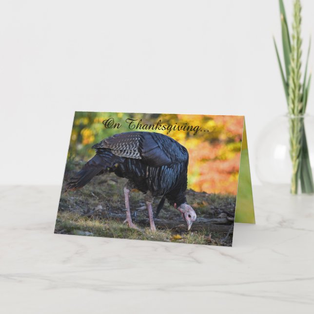 Tarjeta Gracioso Día de Gracias (Anverso)