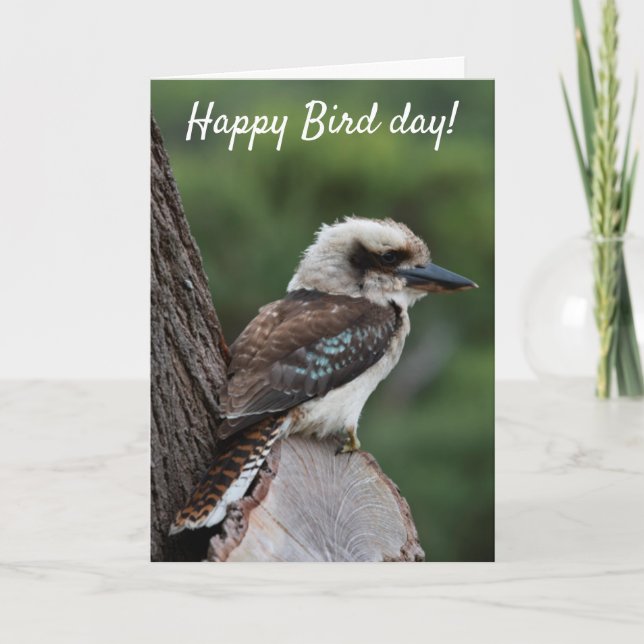 Tarjeta Gracioso día feliz de los pájaros Cumpleaños Kooka (Anverso)