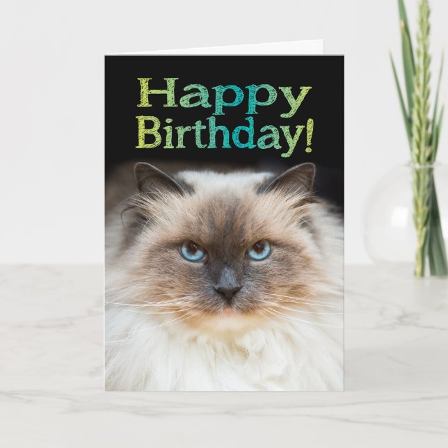 Tarjeta Gracioso Gato de Fiestidad Feliz cumpleaños que es (Anverso)