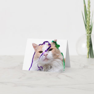 Tarjeta Gracioso gato fiesta
