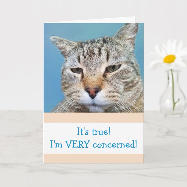 Tarjeta Gracioso Gato Grave Preocupado Que Se Mejore (Planta pequeña)