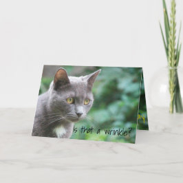 Tarjeta Gracioso Gato Kitty