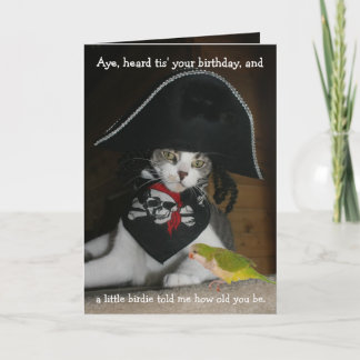 Tarjeta Gracioso gato pirata