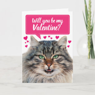 Tarjeta Gracioso Gato Serás Mi Valentín?