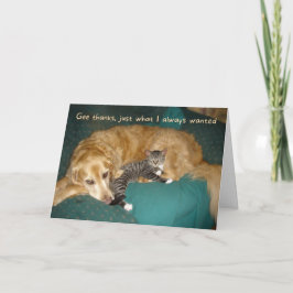 Tarjeta Gracioso Golden Retriever con cumpleaños gatito