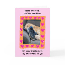 Gracioso Golden Retriever con Shoe Valentine