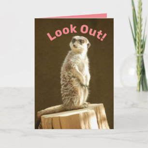 Tarjeta Gracioso Meerkat: ¡Cuidado! Eres un menor de un añ