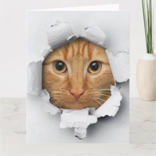 Tarjeta Gracioso Mischievous Cute Ginger Cat