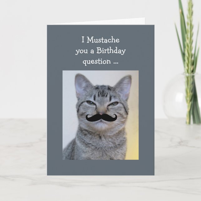 Tarjeta Gracioso Mustache Pregunta Gato de cumpleaños (Anverso)