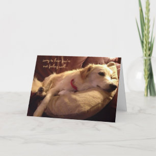 Tarjeta Gracioso, Ponte Bien, Sueños De Perro Durmientes.
