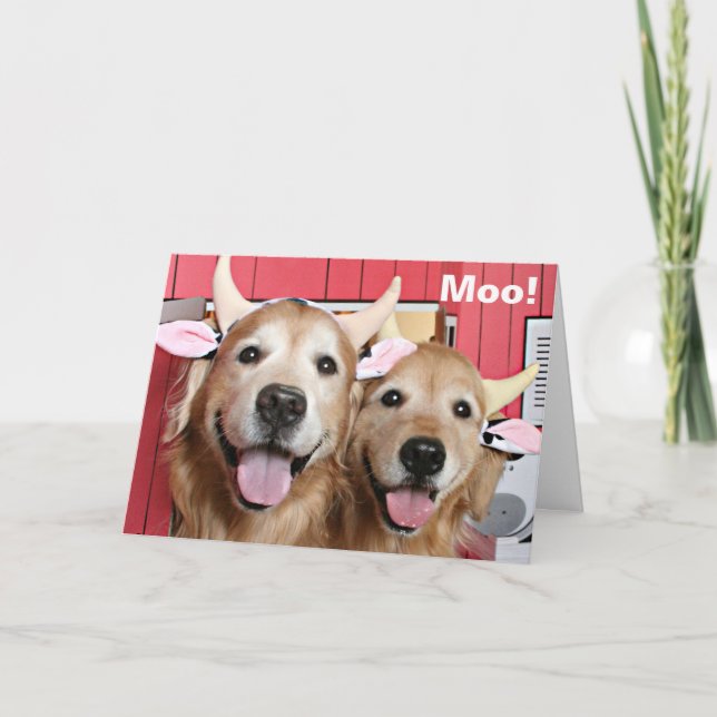 Tarjeta Graciosos recuperadores de oro en vacas disfrazan  (Anverso)