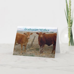 Tarjeta Graduación Cuta - Humor animal de vaca roja - Ranc