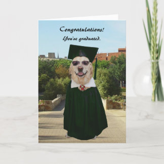 Tarjeta Graduación de laboratorio/perro gracioso personali