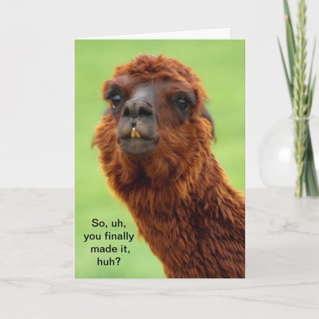 Tarjeta Graduación de Llama divertida (Anverso)